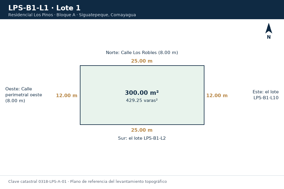 Lote 1