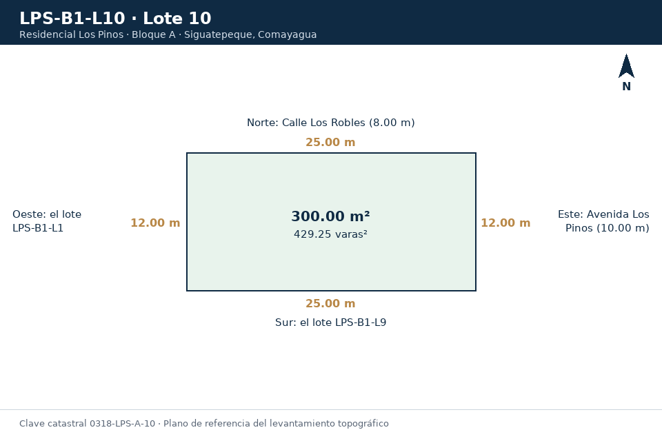 Lote 10