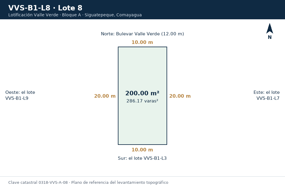 Lote 8