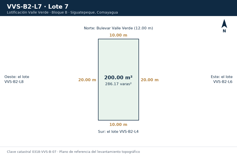 Lote 7