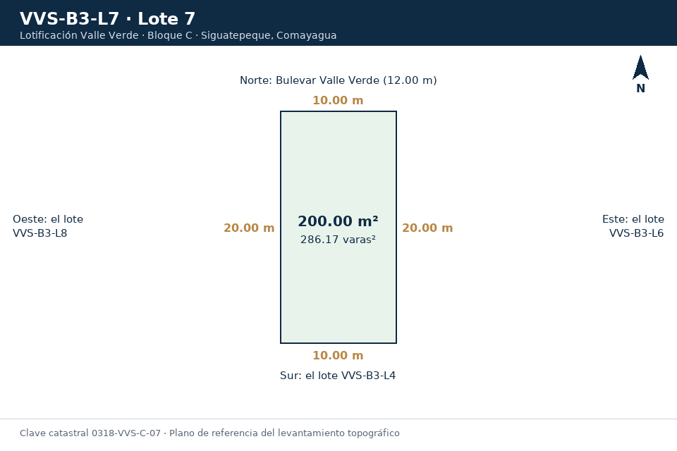 Lote 7