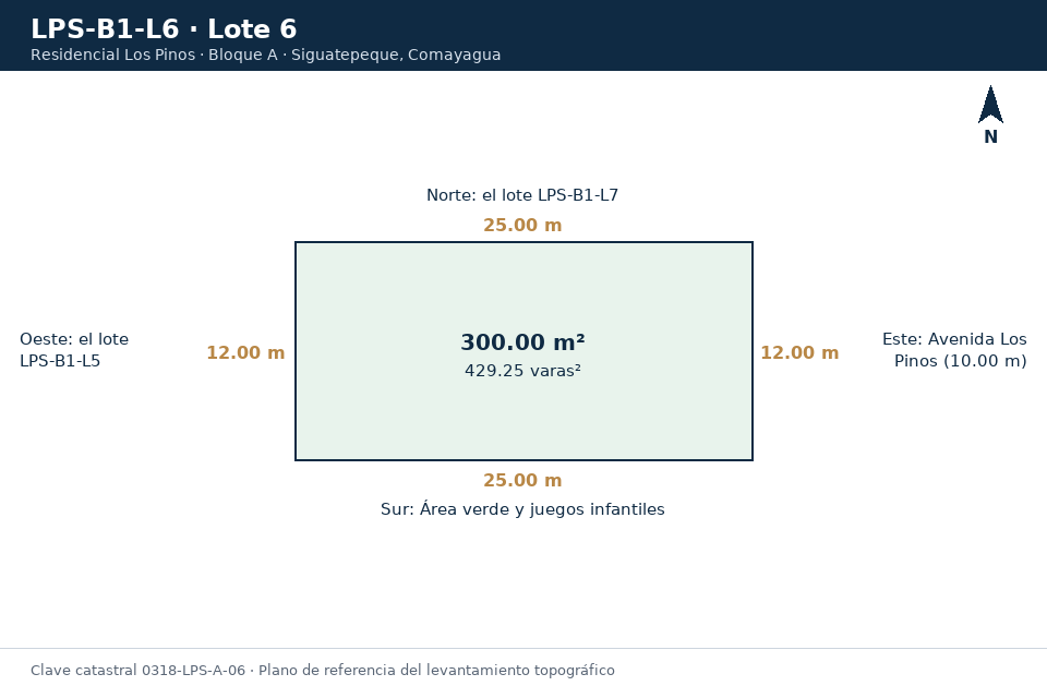 Lote 6
