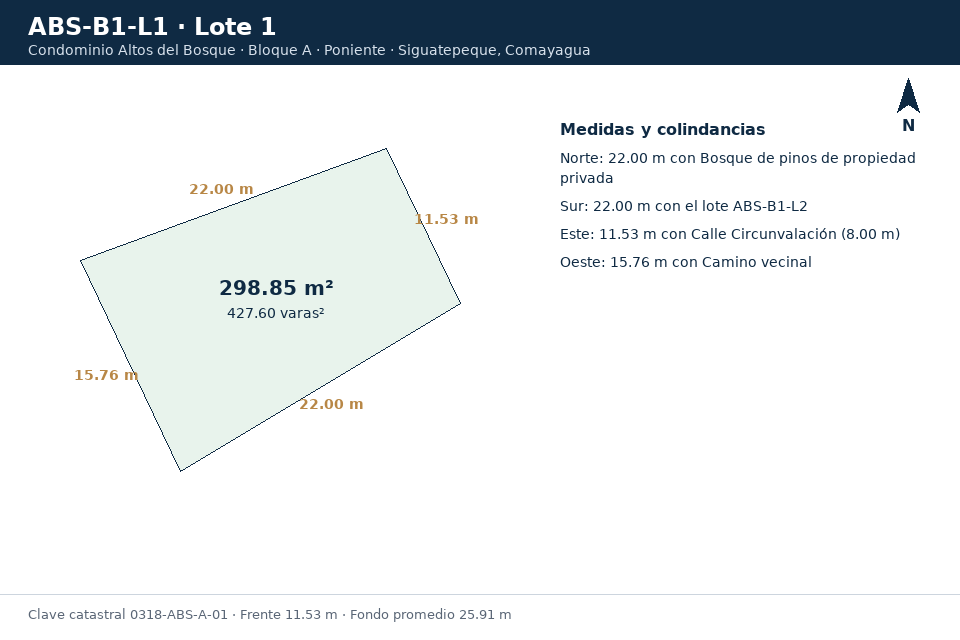 Lote 1