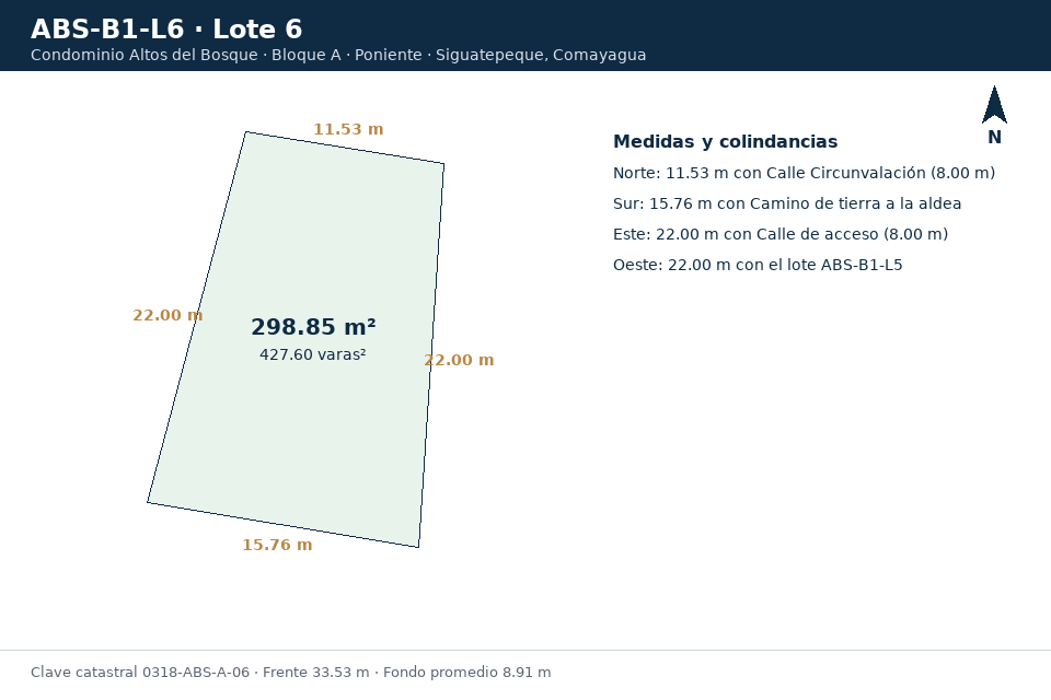 Lote 6