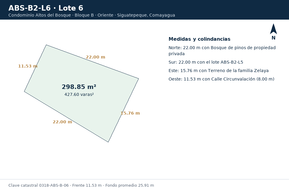 Lote 6