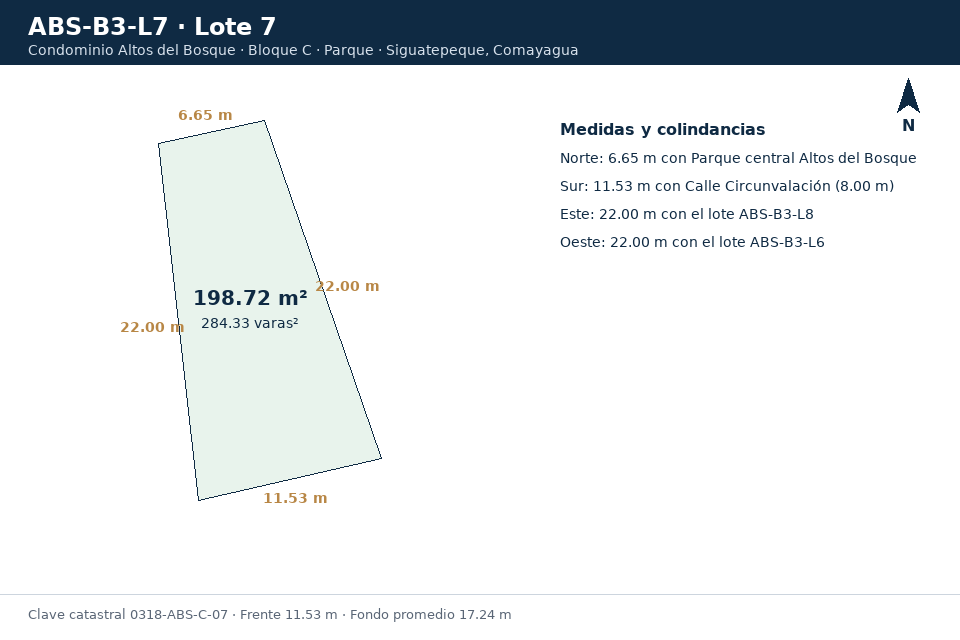 Lote 7