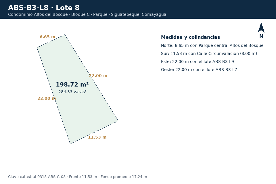 Lote 8