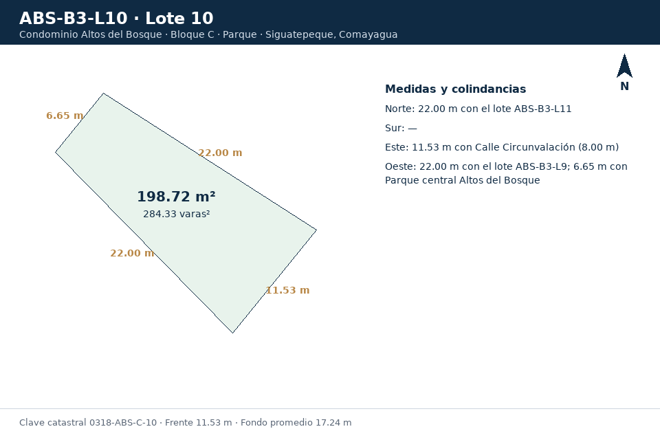 Lote 10