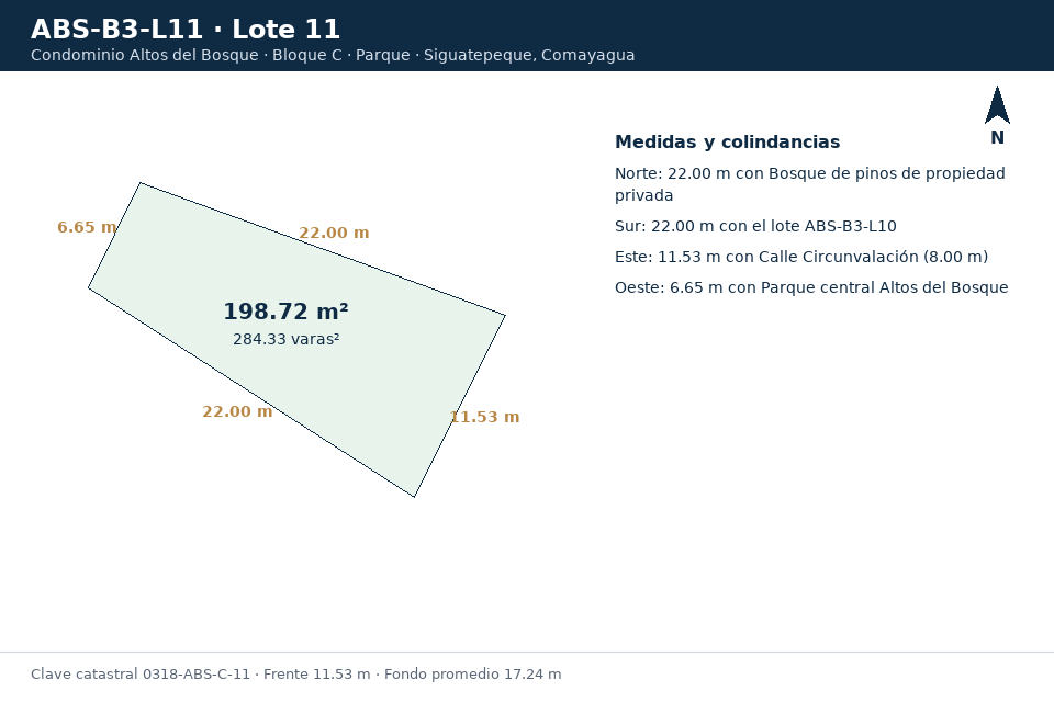Lote 11