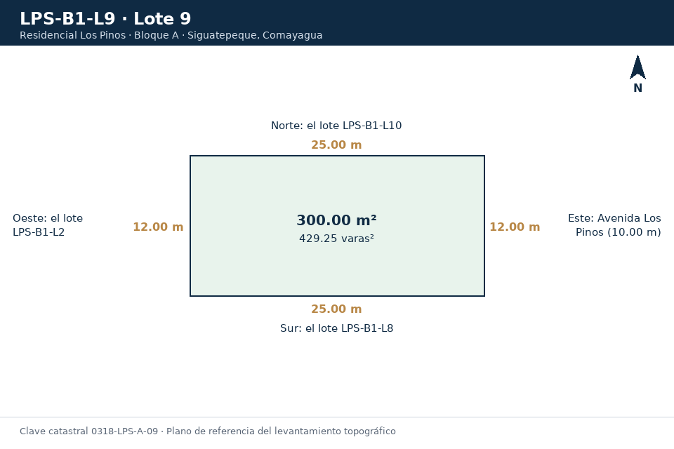 Lote 9